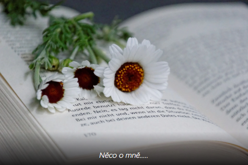 Něco o mně